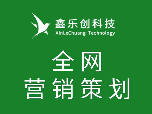 德阳网络公司