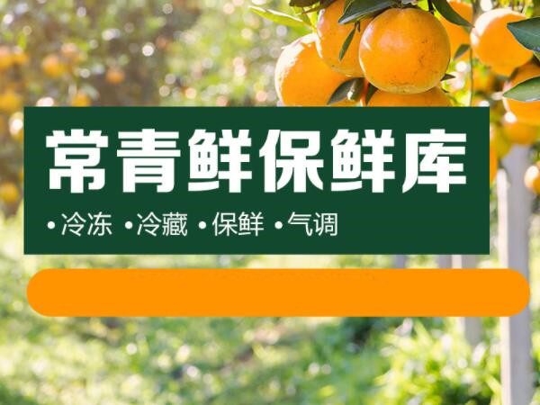 中江做网页设计公司