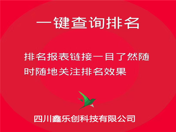 网络优化